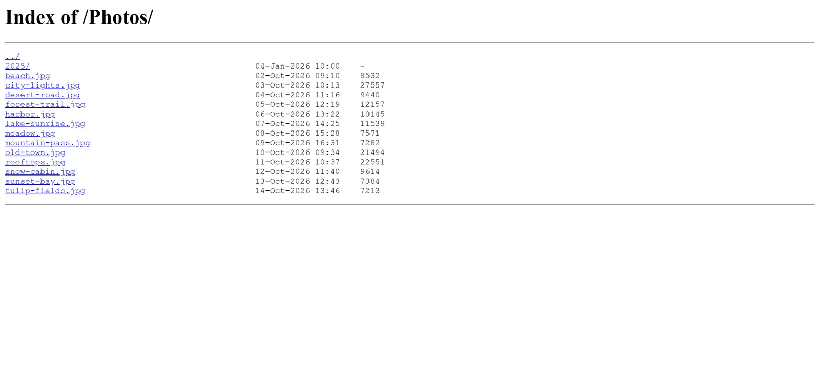 A plain Index of page of a web server in Chrome, with a list of file names, dates and sizes in plain text